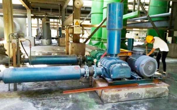 三叶罗茨鼓91久久婷婷国产麻豆精品电影