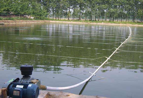 <b>水产养殖行业用罗茨91久久婷婷国产麻豆精品电影案例</b> <b>水产养殖行业用罗茨91久久婷婷国产麻豆精品电影案例</b>