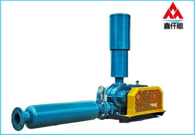 XQSSR-80三叶罗茨鼓91久久婷婷国产麻豆精品电影