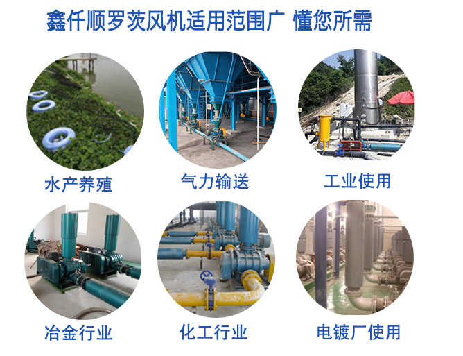 罗茨鼓91久久婷婷国产麻豆精品电影