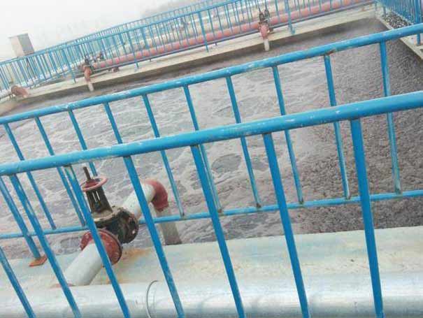 罗茨91久久婷婷国产麻豆精品电影污水处理案例