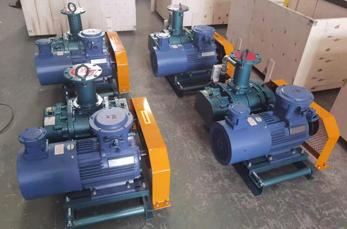 罗茨鼓91久久婷婷国产麻豆精品电影 罗茨鼓91久久婷婷国产麻豆精品电影